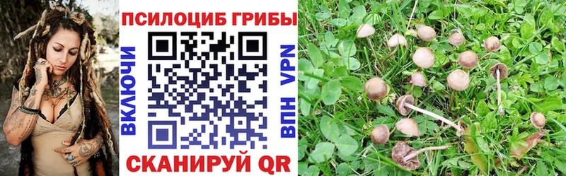 где купить наркоту  Кандалакша  Галлюциногенные грибы Magic Shrooms 