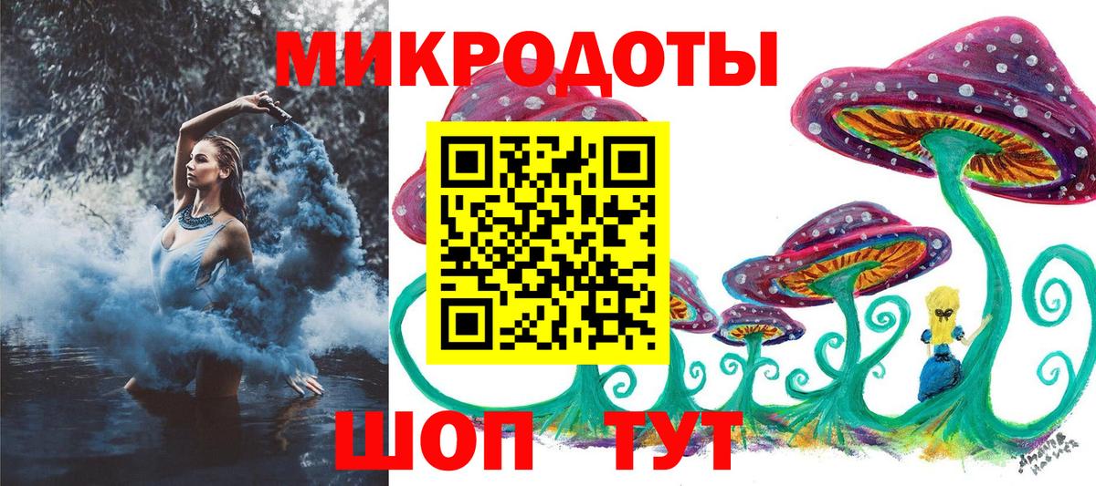 Кандалакша  Галлюциногенные грибы Psilocybe  Вход с VPN 